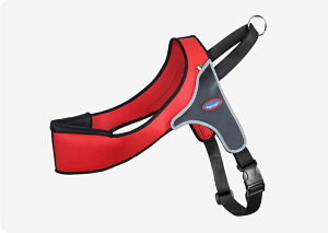 PRATIKO veBR@n[lXXgO@TCY00`4@@^ ^p(ČAR[M[A{[_[R[Auh[j@ybg ybgObY pi  n[lX@@nht