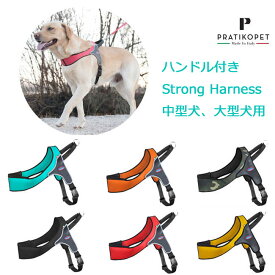 PRATIKO プラティコ　ハーネスストロング　サイズ00～4　　中型犬 大型犬用(柴犬、コーギー、ボーダーコリー、ラブラドール）　ペット ペットグッズ 犬用品 胴輪 ハーネス　犬　ハンドル付き　簡単装着 引っ張り癖 おしゃれ 水遊び