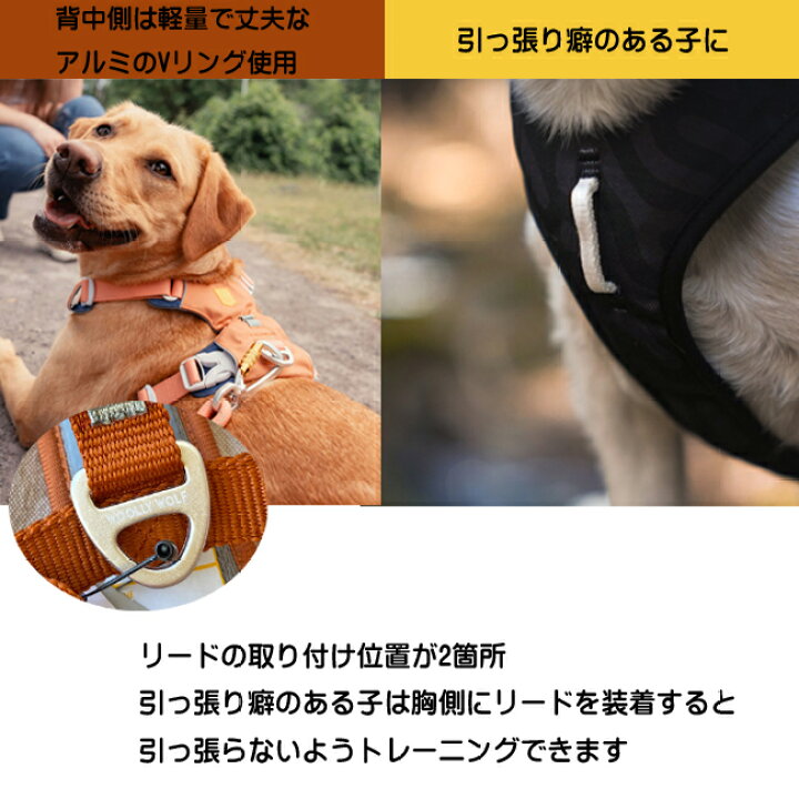 楽天市場】ウーリーウルフ woollywolf ロームハーネス 小型犬 中型犬 