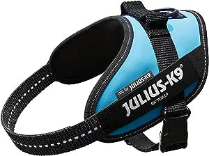 @JULIUS K9EEXK9@IDCp[n[lX@Baby2,~j~jA~jTCY@ybgEybgObY pi ցEn[lX ^  U o   ȒP