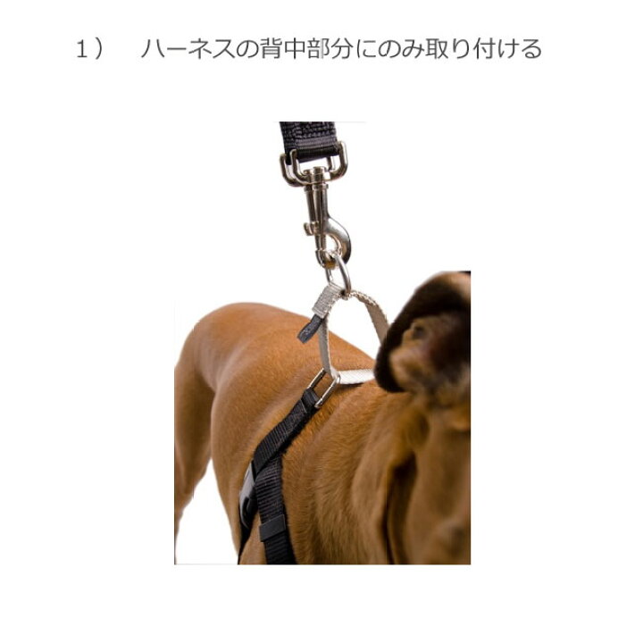 楽天市場 ノンプルハーネス 専用リードセット Sサイズ ペット ペットグッズ 犬用品 首輪 胴輪 リード 胴輪 ハーネス しつけ 小型犬 輸入犬用品 雑貨 Dogplanet 楽天市場 ノンプルハーネス 専用リードセット Sサイズ ペット ペットグッズ 犬用品 首輪 胴輪 リード 胴輪 ハーネス しつけ 小型犬 輸入犬用品 雑貨 Dogplanet