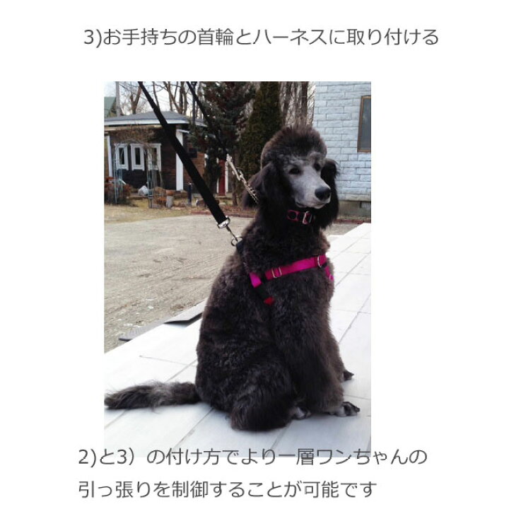 楽天市場 ノンプルハーネス 専用リードセット Sサイズ ペット ペットグッズ 犬用品 首輪 胴輪 リード 胴輪 ハーネス しつけ 小型犬 輸入犬用品 雑貨 Dogplanet 楽天市場 ノンプルハーネス 専用リードセット Sサイズ ペット ペットグッズ 犬用品 首輪 胴輪 リード 胴輪 ハーネス しつけ 小型犬 輸入犬用品 雑貨 Dogplanet