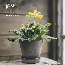 【マラソン期間中 P5倍】 【北欧デンマーク】植木鉢 おしゃれ 素焼き鉢 【BERGS POTTER（バーグスポッター）ジュリー グレー】 観葉 多肉 植物 テラコッタ インテリア 北欧 おしゃれ 鉢 植木鉢 ガーデニング