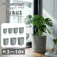 new プロスパープラスト TUBO ベトンエフェクト 植木鉢 受け皿付き フラワーポット 鉢カバー 観葉植物 プ…