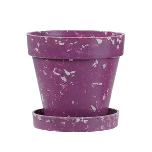 yGR|bg󂯎Mtz  yGR`bv}[u|bg&\[T[3.5z yɊ҂ ϗtA GR|bg  󂯎Mt G CeA  킢