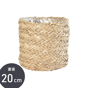 yX[p[SALEԒ P5{z _V[OX^ Jo[ ySIG vcoXPbgz ϗtA JS  AWAG VR COT  CeA  킢