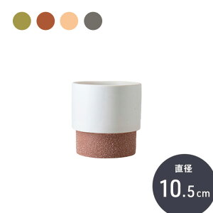 yubNtCf[Ԓ 30%OFFN[|zzz yJo[z Ȃ yg|bg 10.5z ϗtA Jo[  Zg G CeA k 