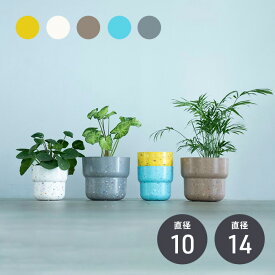 【マラソン期間中 P5倍】 植木鉢 鉢カバー 穴なし エコチップ ペタルポット 土に還る 観葉 植物 エコポット 鉢カバー 鉢 雑貨 インテリア おしゃれ かわいい