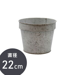 y}\ 30%OFFN[|Ώ 91:59܂Łz uL|bg uLv^[ K[fjO ϗtA k |bg uL uL Jo[  AeB[N g 