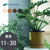 植木鉢 鉢カバー ポーランド製 PROSP TUBO（タボ）ポット 観葉植物 円柱 筒型 シリンダー ガーデニング …