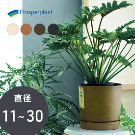 ＼ポーランド製／ 鉢カバー 受け皿付き【PROSP TUBO（タボ）ポット】 観葉植物 シリンダー型 円柱 筒型 筒形 雑貨 再生プラスチック プラスチック サステナブル エコ インテリア おしゃれ かわいい ソーサー付き 鉢 プランターカバー