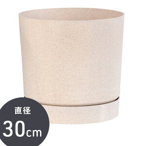 Aؔ Jo[ |[h PROSP TUBOi^{j|bg ϗtA ~ ^ V_[ G K[fjO | CeA  A _ 󂯎Mt v^[ zCg i`