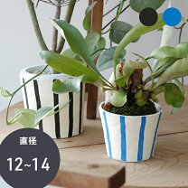 楽天市場】ストライプ（植木鉢・プランターカバー｜植木鉢・プランター 