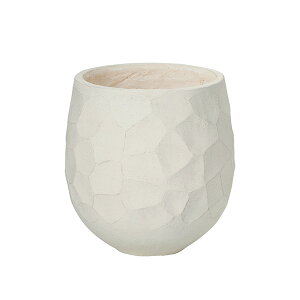 y}\Ԓ P5{z _Aؔ^yWIg[Ehz  Jo[  ChA O  ϗtA ^ _ CeA  OXt@Co[  YOUZEN