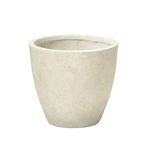 y}\Ԓ P5{z _Aؔ^yJu[YT[Nz  Jo[  ChA O  ϗtA ^ _ CeA  OXt@Co[  YOUZEN