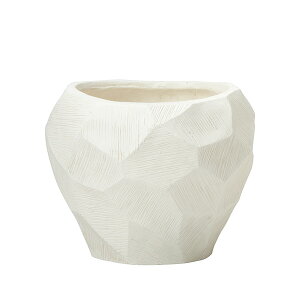 y}\Ԓ P5{z _Aؔ^yt@ZbgT[Nz  Jo[  ChA O  ϗtA ^ _ CeA  OXt@Co[  YOUZEN