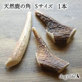 【 Sサイズ (8cm~10cm) ｜小型犬用 】 犬 犬用 噛む おもちゃ 鹿の角 鹿角 高知県産 角ガム 天然 鹿 おもちゃ 硬い 送料無料 メール便 ペット グッズ ガム デンタルケア 骨 ボーン 長持ち 無添加 国産 小型犬