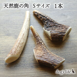 ySTCY (8cm~10cm) b^p z  p   ̊p p mY pK VR   d  [ ybg ObY K f^PA  {[  Y 