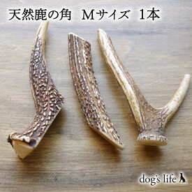 【 Mサイズ (11cm~15cm) ｜小・中型犬用 】 犬 犬用 噛む おもちゃ 鹿の角 鹿角 高知県産 角ガム 天然 鹿 おもちゃ 硬い 送料無料 メール便 ペット グッズ ガム デンタルケア 骨 ボーン 長持ち 無添加 国産 小型犬 中型犬
