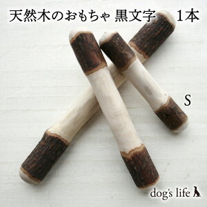 y STCY (10cm)b^E^p z p  VR   mY R؃^Cv   [