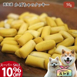 ymYb50g z ̂ ڂ NbL[  pvL g[c Y Y  p   NbL[ ڂ J{` rXPbgENbL[ yV َq i  