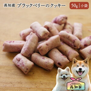 ymYb50gi܁jz  NbL[  ubNx[NbL[ ʕ u[x[ AgVjA g[c ̂ Y Y ^ VjA  g[jO p