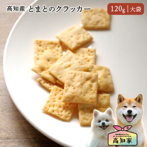 ymYb120gi܁jz p Ƃ܂ NbJ[ NbL[  ʕ   Y Y g[c ؃NbJ[ g}g ^  VjA J َq  g[