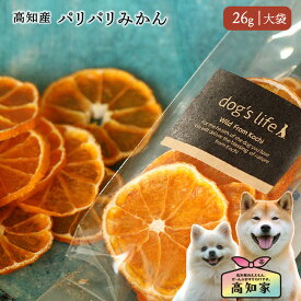 【高知県産｜26g（大袋）】 犬用 犬 パリパリ みかん ドライフルーツ 果物 国産 無添加 ご飯 犬のごはん どっくふーど 犬ごはん 犬のおやつ 国産 栄養補助