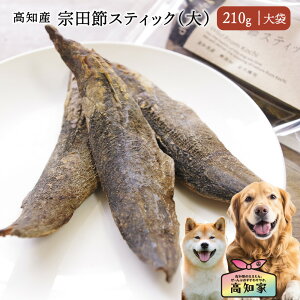 ymYb210gi܁jz  p @c XeBbN  d    Y Y JcI   I[KjbN ^ ^ ^ p ̂ p ̉a 