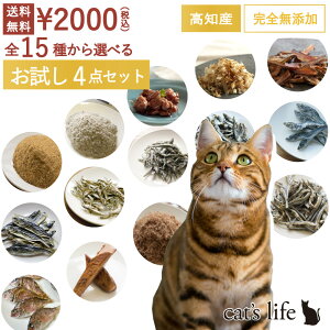 Lp S15킩Iׂ mY Y   4_Zbg    Y Ic t[h ͂  y lߍ킹 Mtg ybg J yV  L̂ L̂͂ 