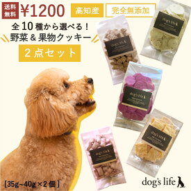 犬 クッキー おやつ 全10種から選べる 犬用 クッキー 2点 お試し セット ギフト おから さつまいも 米粉 野菜 犬のおやつ 無添加 国産 ごほうび ペットのおやつ 無添加おやつ 犬おやつ国産無添加 送料無料