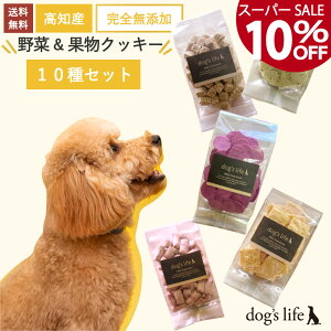 p IWi NbL[ S10Zbg Mtg Y Y  ܂ ĕ  p  lߍ킹 Mtg Zbg J َq ̂ yV  e p