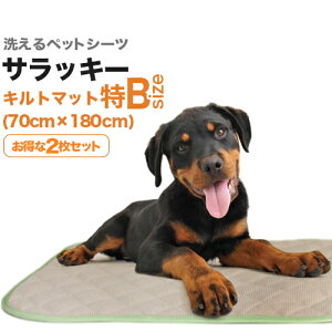 􂦂ybgV[cu_[}bgETbL[vzELR