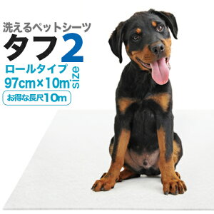 ^􂦂ybgV[cu^t2v