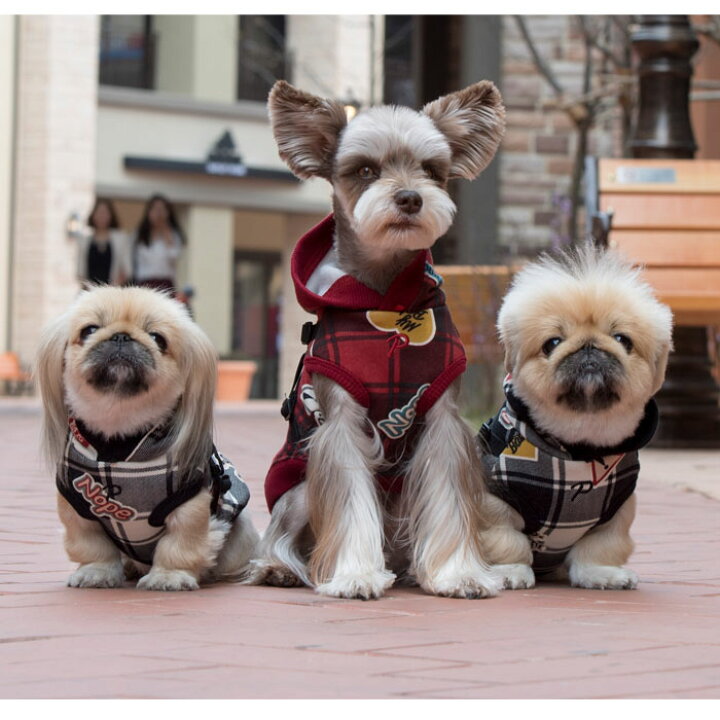 楽天市場】犬用 洋服 胴輪 バーノンハーネス型フーディー:S,M,Lサイズ VERNON PUPPIA パピア ペット ドッグ : 犬服,ドッグウェア DogSkip 楽天市場】犬用 洋服 胴輪 バーノンハーネス型フーディー:S,M,Lサイズ VERNON PUPPIA パピア ペット ドッグ : 犬服,ドッグウェア DogSkip
