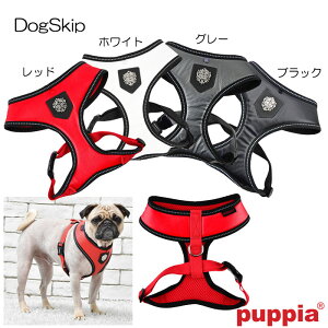 p  KV[n[lXAFXLTCY LEGACY HARNESS A PUPPIA psA ybg hbO