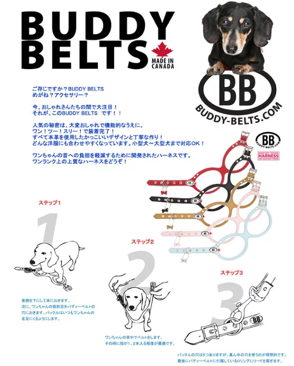 楽天市場】バディーベルト ハーネス 4号 ラテ Latte 小型犬 ペット 