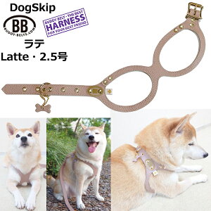 ofB[xg n[lX 2.5 e Latte ^ ybg U[ {v BUDDYBELT ofBxg p  On[lX Kln[lX {fBxg ofB[xgKA㗝X KX
