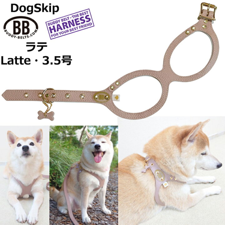 楽天市場】バディーベルト ハーネス 3.5号 ラテ Latte 小型犬 ペット 