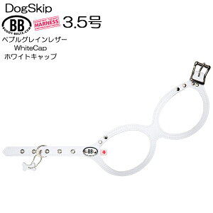  n[lX ofBxg 3.5 zCgLbv Whitecap ybg  U[ {v BUDDYBELT ofB[xg p hbO ofB[xgKA㗝X KX