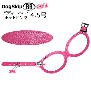  n[lX ofBxg 4.5 zbgsN HOT PINK BUDDY BELT BUDDYBELT ybg  U[ {v  p hbO ofB[xgKA㗝X KX