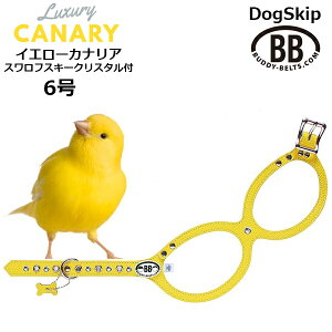 ofB[xg n[lX 6 JiA XtXL[NX^t Canary CG[ F Ji[ ^ ybg U[ {v BUDDYBELT ofBxg p  On[lX Kln[lX