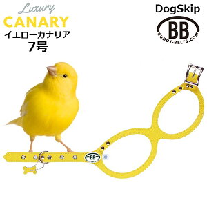 ofB[xg n[lX 7 JiA Canary CG[ F Ji[ ^ ybg U[ {v BUDDYBELT ofBxg p  On[lX Kln[lX {fBxg ofB[x