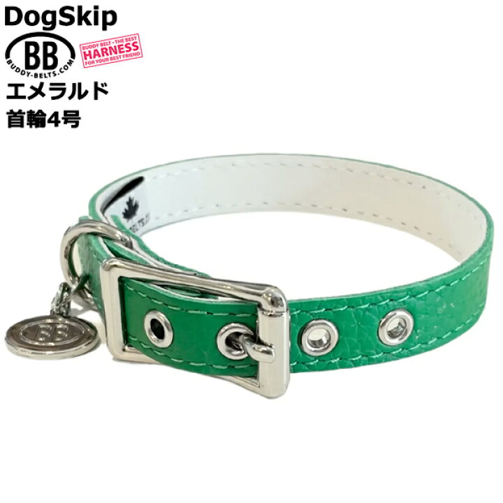 楽天市場】BB 首輪 エメラルド 4号 ID カラー バディーベルト 