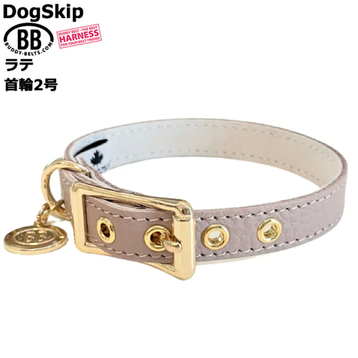 楽天市場】BB 首輪 ラテ latte 2号 ID カラー バディーベルト 