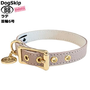 BB 首輪 ラテ latte 6号 ID カラー バディーベルト buddybelt バディベルト シンプル かわいい おしゃれ カラー かっこいい ブランド オシャレ チワワ トイプードル 超小型犬 小型犬 中型犬 大型犬