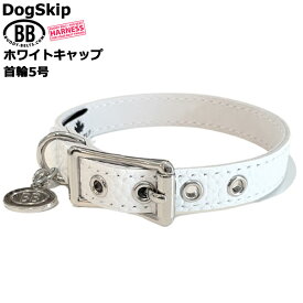 BB 首輪 ホワイトキャップ 5号 ID カラー バディーベルト buddybelt バディベルト シンプル かわいい おしゃれ カラー かっこいい ブランド オシャレ チワワ トイプードル 超小型犬 小型犬 中型犬 大型犬 シンプル 柴犬 フレンチブルドッグ チワワ トイプードル マルチーズ