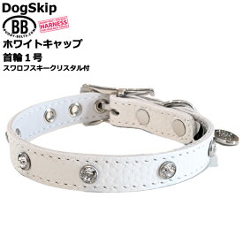 BB 首輪 ホワイトキャップ 1号 スワロフスキークリスタル付 ID カラー バディーベルト buddybelt バディベルト シンプル かわいい おしゃれ かっこいい ブランド オシャレ チワワ トイプードル 小型犬 中型犬 柴犬 フレンチブルドッグ チワワ トイプードル マルチーズ