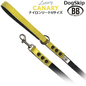 BBANZgU[iC[hSTCY JiA Canary ofBxg BUDDYBELT ofB[xg {v[h p ybg hbO ofB[xgKA㗝X KX