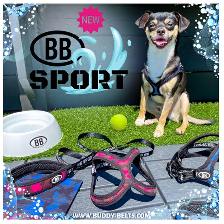 楽天市場】バディーベルト BBスポーツハーネス 2号 小型犬 ペット 